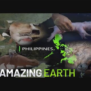 Amazing Earth September 12, 2021 Thumbnail